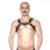 Prowler RED Bull Harness Black Large