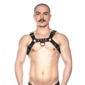 Prowler RED Bull Harness Black Small