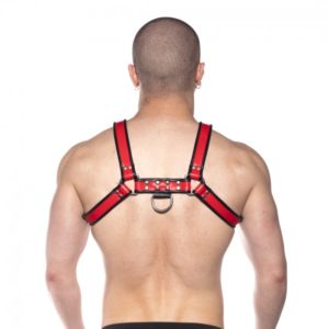 Prowler RED Bull Harness BlackRed Large 3