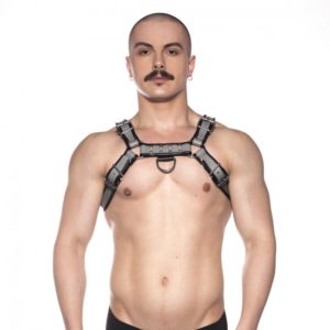 Prowler RED Bull Harness Grey Large