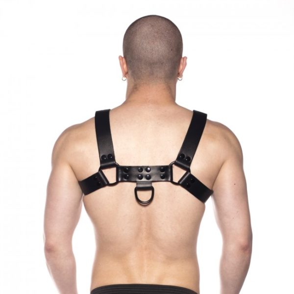 Prowler RED Noir Harness Black Small 2