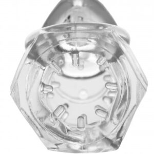 Detained 2.0 Restrictive Chastity Cage w Nubs 2